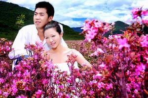 温岭新娘事件照片